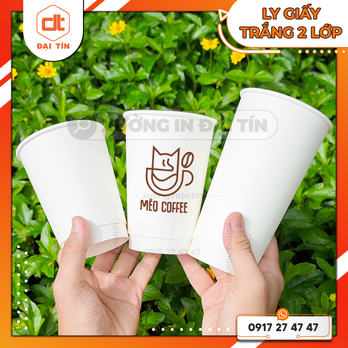 Ly giấy kraft trắng 2 lớp