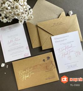 Mẫu Thiệp Cưới 01
