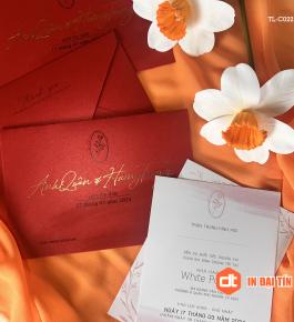 Mẫu Thiệp Cưới 02