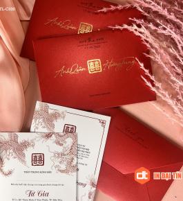 Mẫu Thiệp Cưới 16